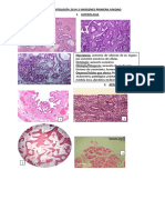 Patología 2017 Imagenes Primera Unidad