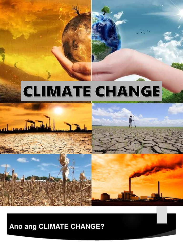 Climate Change | PDF