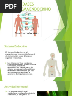 Enfermedades Del Sistema Endocrino