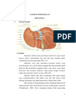 Laporan Pendahuluan Hepatitis A Edit 3