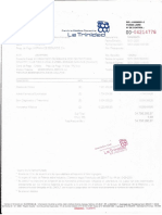 Documentos de Maria Fernanda Figueras PDF