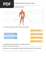 Guia de Trabajo Ciencias Naturales 4