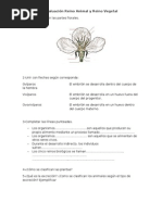 Evaluación Reino Animal y Reino Vegetal