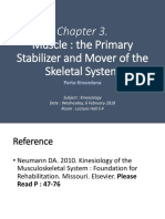 Chap 2. Muscle. The Primary Stabilizer and Mover of The Skeletal System