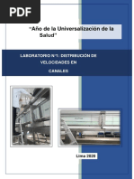 Laboratorio 1 - Distribución de Velocidades