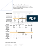 Cronología Del Desarrollo Dentario en Humanos