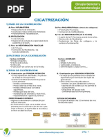 Anexo 5. Cicatrizacion y Heridas