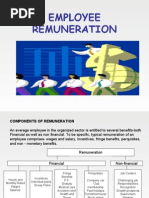 Employee Remuneration