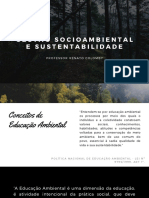 Conceitos de Educação Ambiental PDF