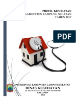 Profil 2017-Dinkes Kab. Lamsel PDF