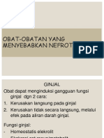 Obat-Obatan Yang Menyebabkan Nefrotoksik