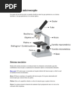 Partes Del Microscopio