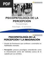 Psicopatología de La Percepción