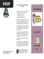 Prueba Clasificatoria Nivel Avanzado 2012 PDF