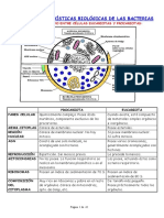 Celula Bacteriana