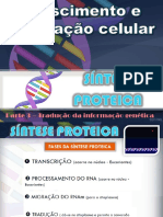 5 - Síntese Proteica - Parte 3 - Tradução Da Informação Genética