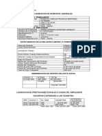 Modelo Liquidación 