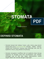 4, Stomata