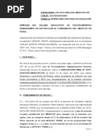 Apelacion A Medida Correctiva