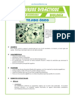 El Tejido Óseo para Tercero de Secundaria PDF