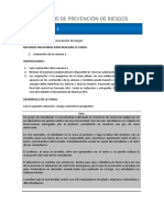 01 - Tarea Prevencion de Riesgo PDF