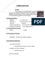 Curriculum Vitae Arnol Orrego