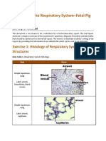 Bio 240 Anatomy of The Respiratory System Lab Report Mcclard N