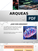 Arqueas Biotecnologia