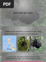 Monfort Bat Cave - Presentation