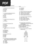 EXamen 8 Sistema Óseo