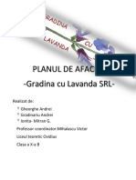 Plan de Afaceri Cultura Cu Lavanda