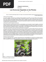 Las Hormonas Vegetales en Las Plantas - Intagri S.C - PDF