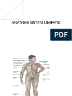 Sistem Limfatik 1