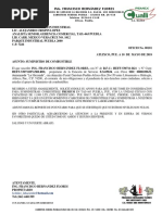 PDF Documento