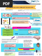 Infografia Digitálicos PDF