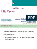 Chapter 13 Meiosis and Sexual Life Cycles