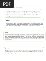 Hacer Una Relación de Los Huesos y Las Articulaciones Inmersas en Los Estudios Radiológicos Trabajados en Esta Actividad