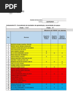 Instrumento E1. Concentrado de Resultados de Aprendizaje y Necesidades de Apoyo