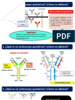 Anticuerpo Quimerico