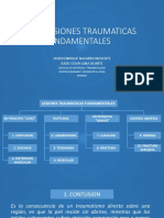 Las 10 Lesiones Traumaticas Fundamentales 1