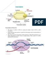 Transcription in Prokaryotes