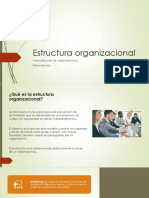 Estructura Organizacional