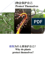 五年级科学 - 植物保护自己的方法