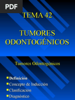 Tumores Odontogenicos