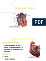 Cardiovascular System1