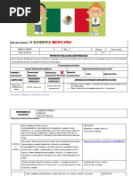 Plan La Bandera Mexicana