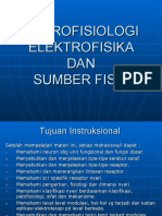 Neurofisiologi Sumber Fisis