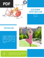 Sistema Vestibular