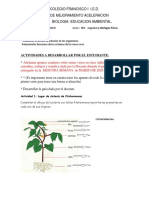 Plan de Mejoramiento Biología Química Física 903