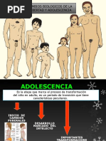 Cambios Biologicos